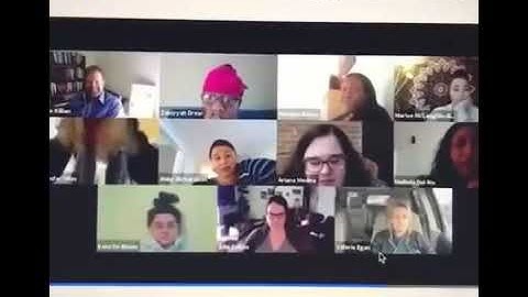 When working from home goes wrong: Woman forgets to turn Zoom camera off as she goes to TOILET