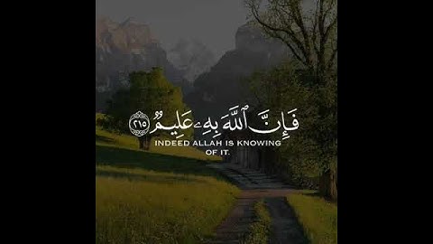 القارئ احمد النفيس سورة (البقرة)