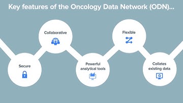 An introduction to Healthcare Provider Analytics from the Oncology Data Network