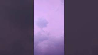 Not Just trees even sky also banglore pink purple sky pinksky purplesky trees flowers