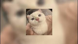 mrs. officer - lil wayne (sped up)