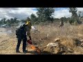 Rain puts damper on prescribed burn in Sonoma County