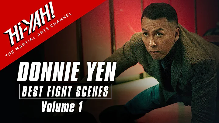 Best Donnie Yen Fight Scenes | Volume 1 - DayDayNews