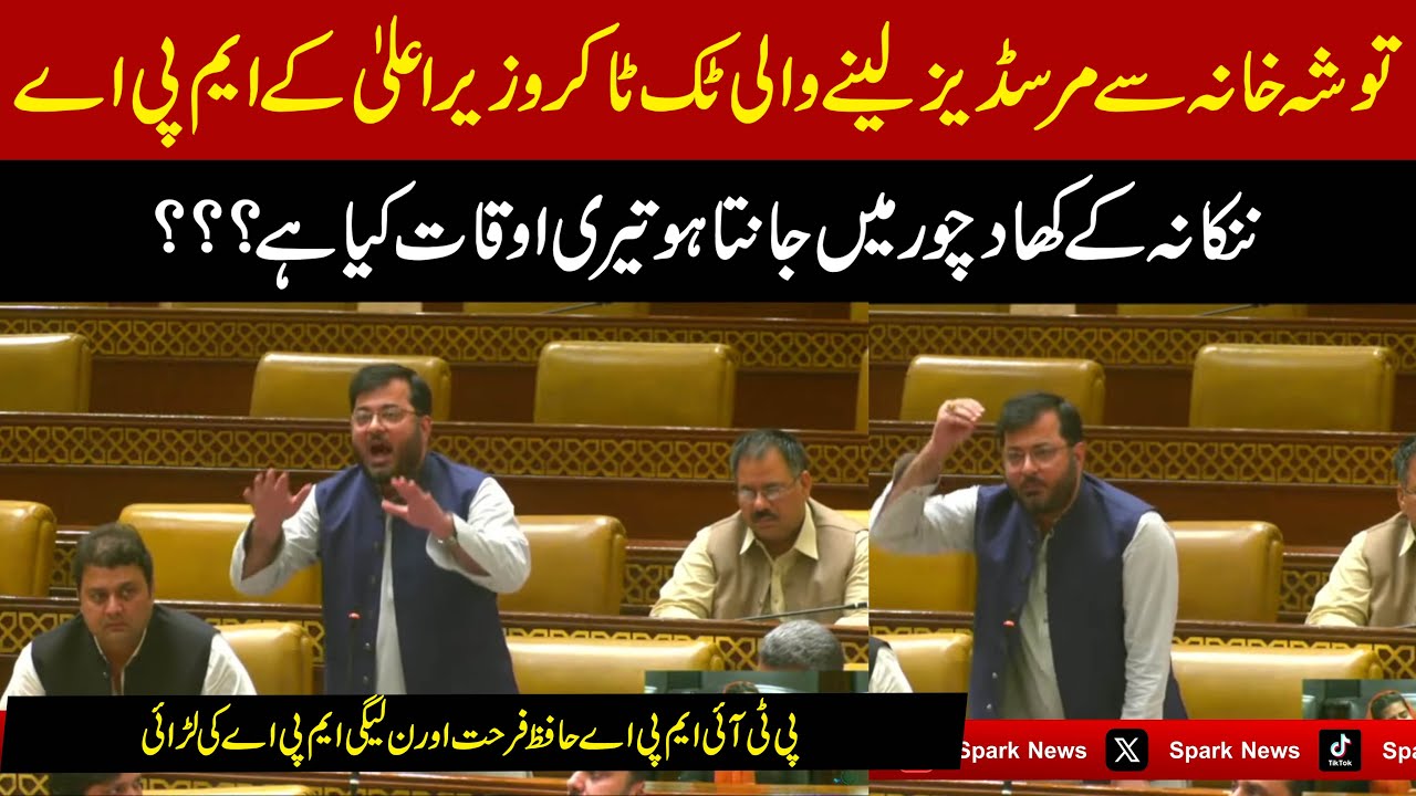 PTI MPA Hafiz Farhat Abbas Delivers Emotional Speech in Punjab Assembly | Must Watch