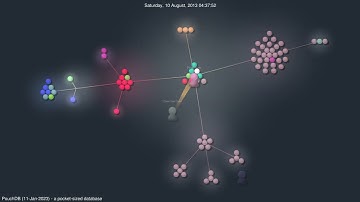 PouchDB  - A pocked-sized database | #GourceVisualizations