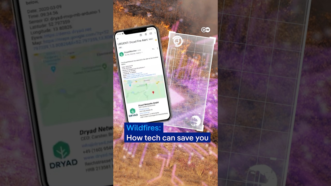 How tech can mitigate wildfires | DW News