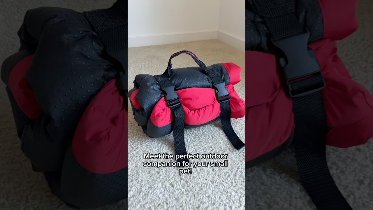 🌳🐕🐾Cozy pet sofa cushions, let your furry friend enjoy lazy times! 