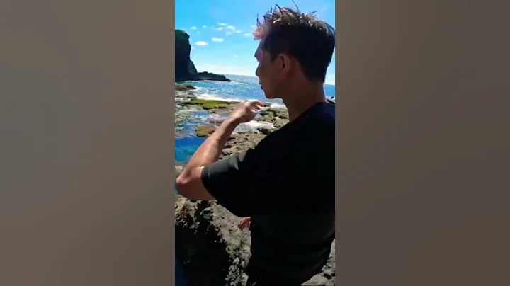 綠島藍洞跳水 - 天天要聞