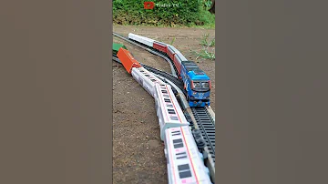Railking Trainstv Trainstv Trainstv Trainstv Railking Shorts 