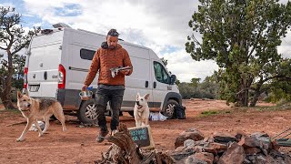 Our Backcountry Van Trip Didn't Go To Plan - The Pups Loved It by Chris Travels 7,033 views 1 month ago 8 minutes, 33 seconds