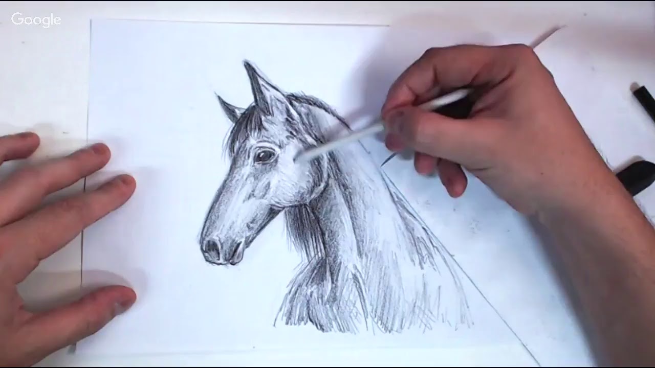 Como Desenhar - Realismo - Animais - YouTube