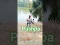 Pushpa Pushpa #trending #pushpa #vairalvideo #video #alluarjun #bipin
