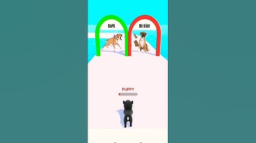 Doggy Run Gameplay Walkthrough🦮 l Dog Sweet l Android iOS Gameplay #shorts #wow