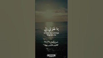 من سورة يس || القارئ فارس عباد |