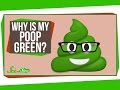 Why Is My Poop Green?