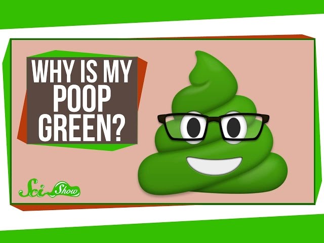 Poop meaning