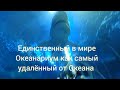 Астана Барыс Арена + Океанариум + Акулы Пираньи Тунцы Коргалжинское Шоссе