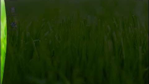 ubuntu 9.10 funny windows