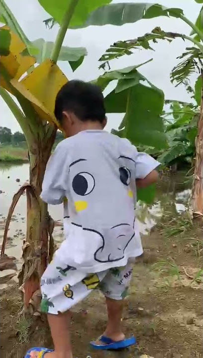 SALAM DARI BINJAI - BOCIL VIRAL 🔥🔥🔥🔥