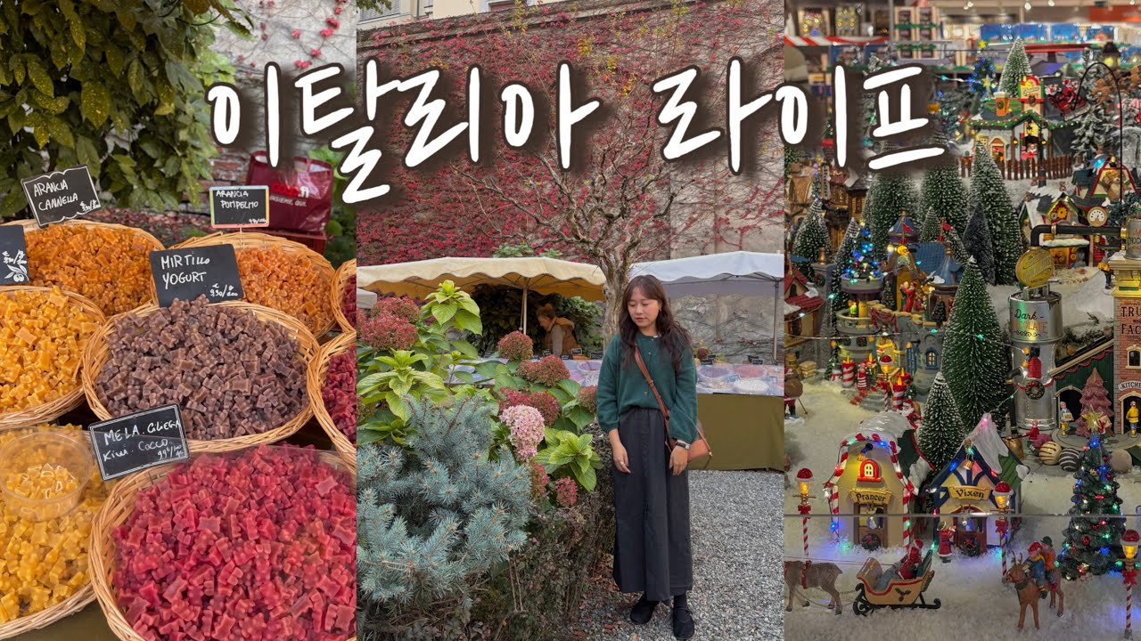 vlog 밀라노 라이프 🇮🇹l 이탈리아집 인테리어 I 밀라노미용실 l 크리스마스트리 꾸미기 l 레오노라 카링턴 전시회 l 차이나타운길거리음식 l 밀라노한식,중식,베트남식