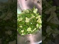 Dawaat ki Lucknowi Biryani itni easy aur tasty ho sakti hai, ye socha nahi tha! | Dawaat Biryani Kit