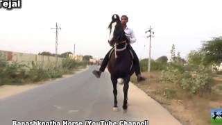 Horse Riding Tejal from Tharad