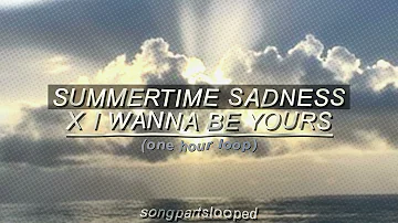 i wanna be yours x summertime sadness - (“think I’ll miss you forever” part looped - 1 hour loop)