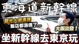 日本旅遊  玩轉東京 新幹線觀光人潮都回來了嗎 超多豐富鐵路便當 這次去東京要拍些什麼呢 瑪茲一桑在日本