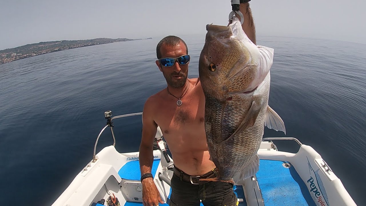 Pesca Super Dentice a traina con il sugarello vivo YouTube Pesca Super Dentice a traina con il sugarello vivo YouTube