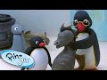 Pingu at the Museum | Pingu Official | 1 Hour | Cartoons for Kids