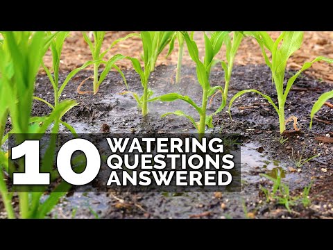 Video: Zalévání zahrad: Naučte se, jak efektivně zalévat zahradu