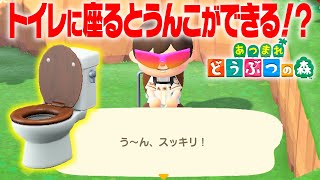 【あつ森】トイレに座るとマジでうんこができる！？衝撃の小ネタを検証しましたwww【あつまれ どうぶつの森】