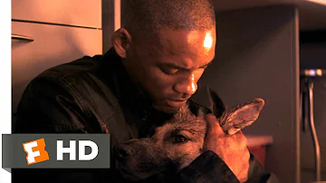 Why did they kill the dog in I Am Legend?