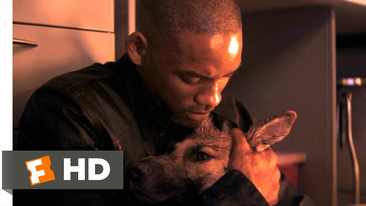 I Am Legend (6/10) Movie CLIP - Goodbye, Sam (2007) HD - YouTube