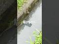 ホウキ積んでてよかった #エアーアシストジャパン