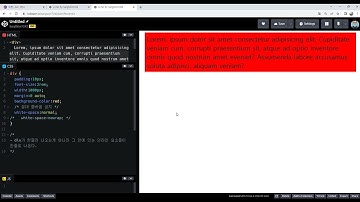 2022-04-15, HTML, CSS 강좌, 113강, white-space:nowrap, 줄바꿈 금지