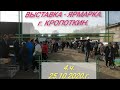 4.ч. 💥 ВЫСТАВКА - ЯРМАРКА 💥 г. КРОПОТКИН. 25.10.2020.г.