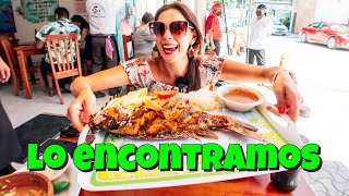 Así es EL MEJOR RESTAURANT DE MARISCOS (EL PIRATA 🔴PLAYA DEL CARMEN) México | Zorito y Doug