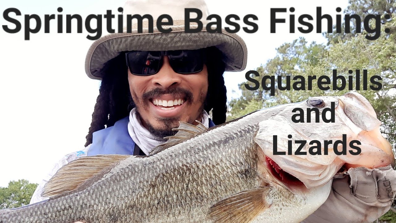 Springtime Bass Fishing Squarebills and Zoom Lizards YouTube