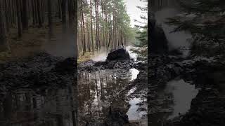 Like, Share & Subscribe