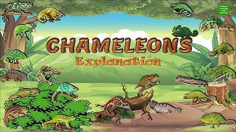 Chameleons, Unit 2.1, Poem, English Explanation, Std 2, Balbharati, Maharashtra State Board