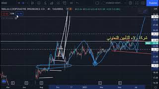 ولاء سهم التحاليل والتوقعات