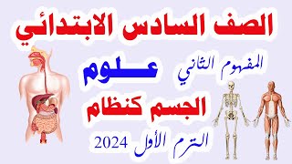 الدرس الثاني علوم للصف السادس الابتدائي المنهج الجديد الترم الأول 2024 الجسم كنظام