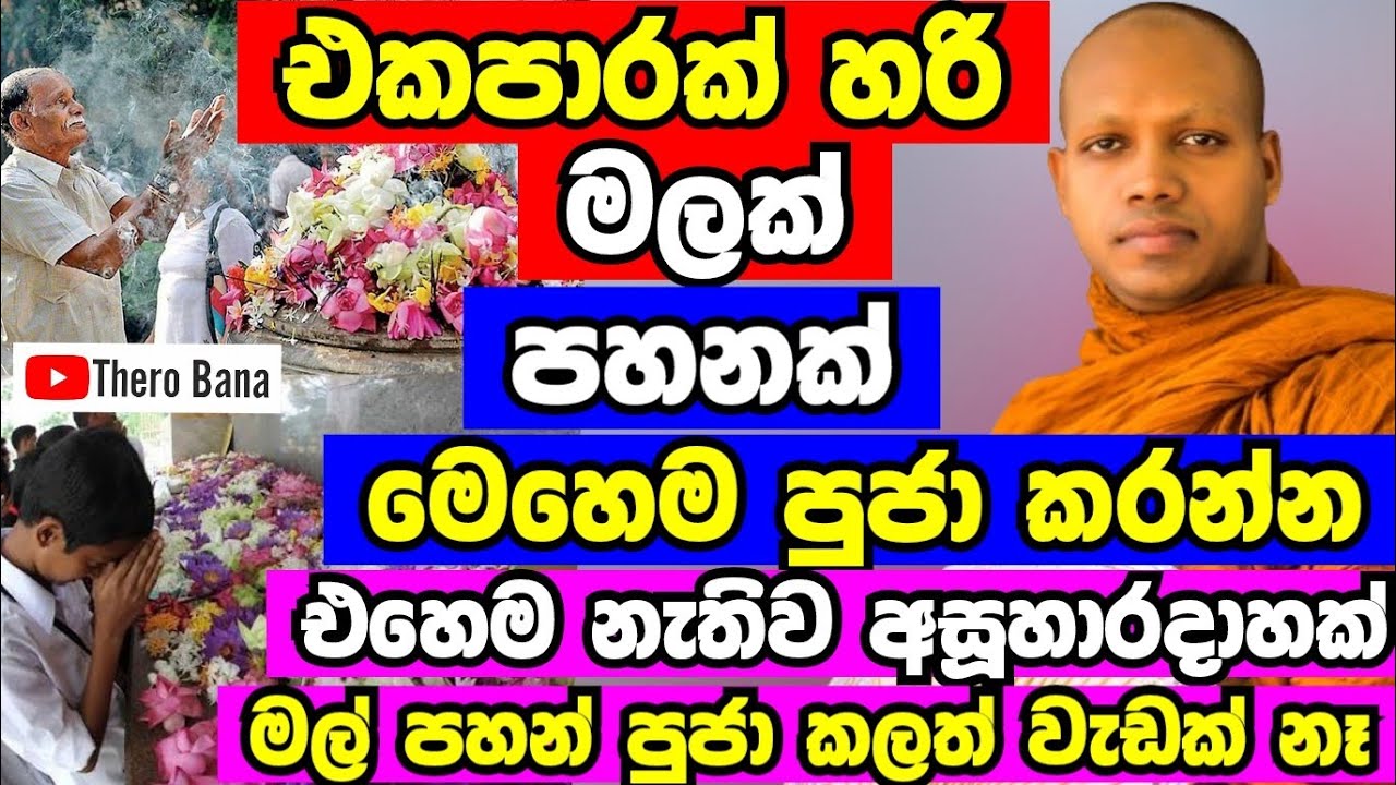 එකපාරක් හරි මෙහෙම මලක් පහනක් පූජා කරන්න,ඔබට යහපතක්ම වේවි | Hasalaka Seelawimala Thero Bana 2025
