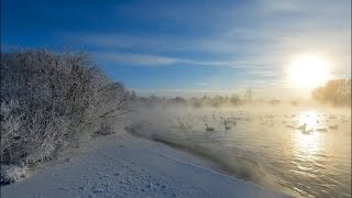 Taymyr Lake (Peninsula - Russia) Travel