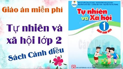 Giáo án miễn phí: Tự nhiên xã hội lớp 2 sách Cánh diều. Trong video có hướng dẫn tải bản word về máy