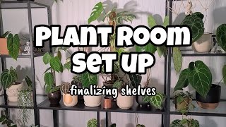 Setting Up the Plant Room Vlog  putting together & decorating shelves