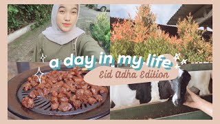 a day in my life : eid adha edition | quarantine vlog | lebaran di Indonesia