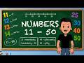 Learn Dutch Numbers 11–50 | Count in Dutch Easily 🇳🇱 Beginner Dutch Lesson - Lesson 20