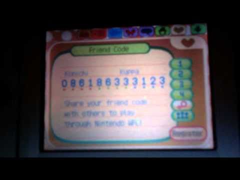 Animal Crossing Wild World Wifi Code